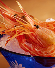 魚
